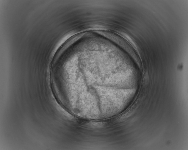 X0000090431243200708031122