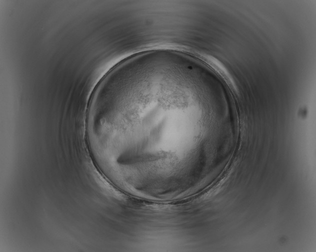 X0000090431244200708031122