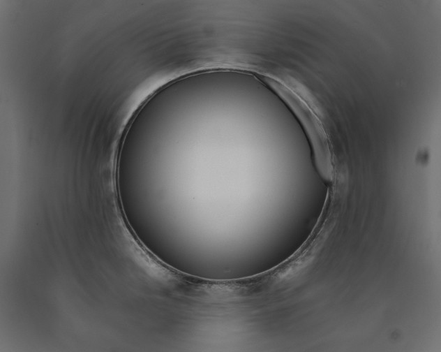 X0000090431246200708031122