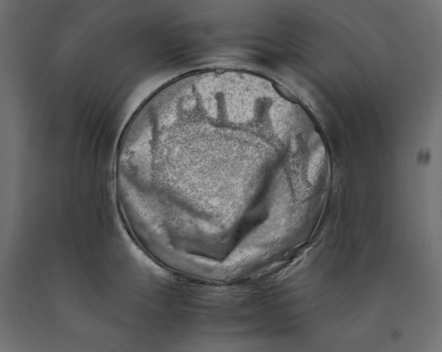 X0000090431247200708031122