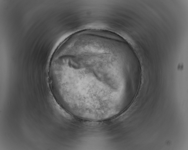 X0000090431248200708031122