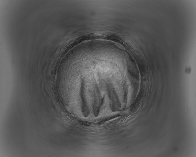 X0000090431249200708031121