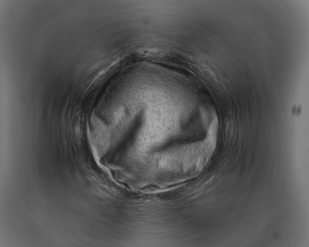 X0000090431250200708031121