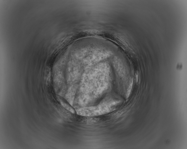 X0000090431251200708031121