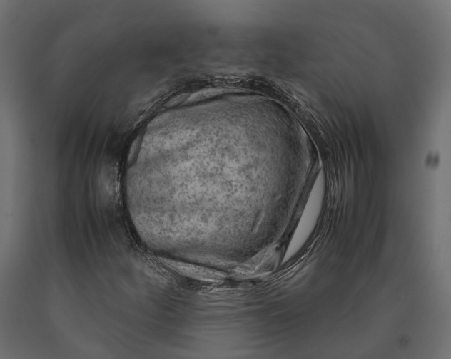 X0000090431252200708031121