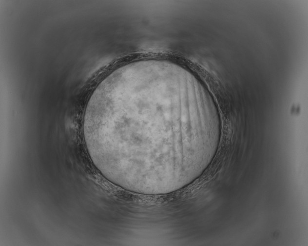 X0000090431254200708031121