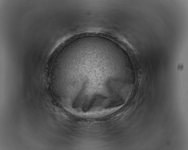 X0000090431256200708031121