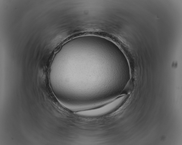 X0000090431257200708031121