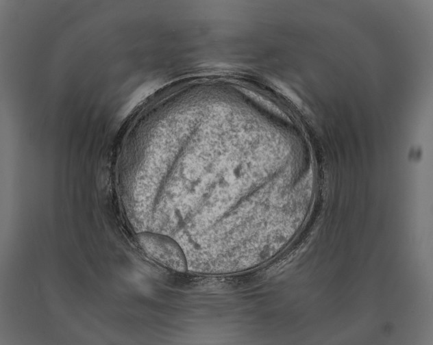 X0000090431259200708031121