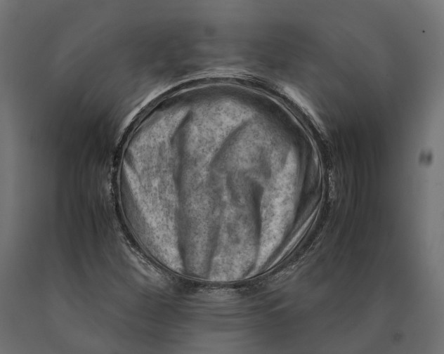 X0000090431260200708031121