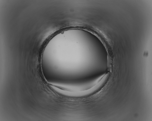 X0000090431261200708031121