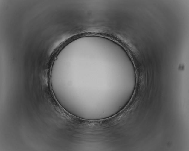 X0000090431262200708031121