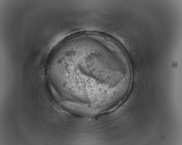 X0000090431263200708031121