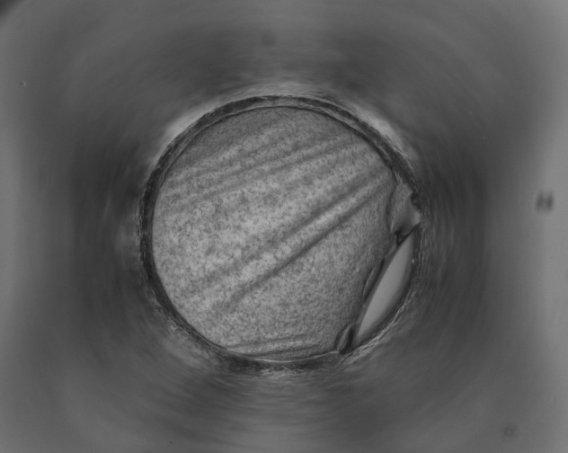 X0000090431264200708031121