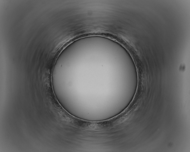 X0000090431265200708031121