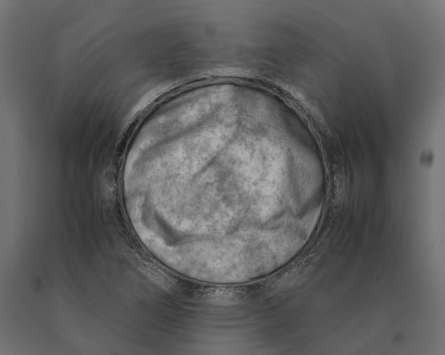 X0000090431266200708031121