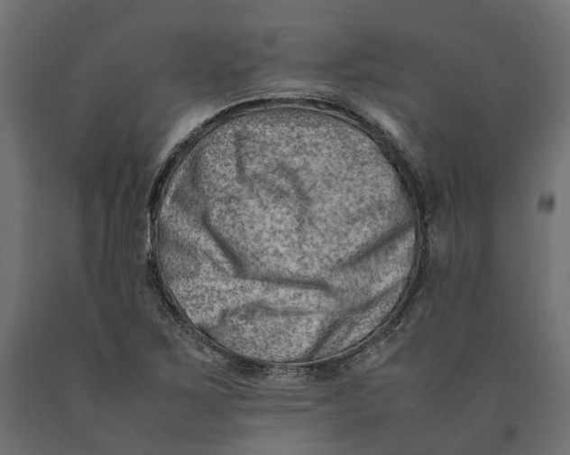 X0000090431267200708031121