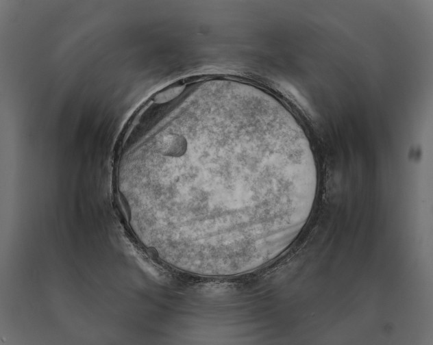 X0000090431268200708031121