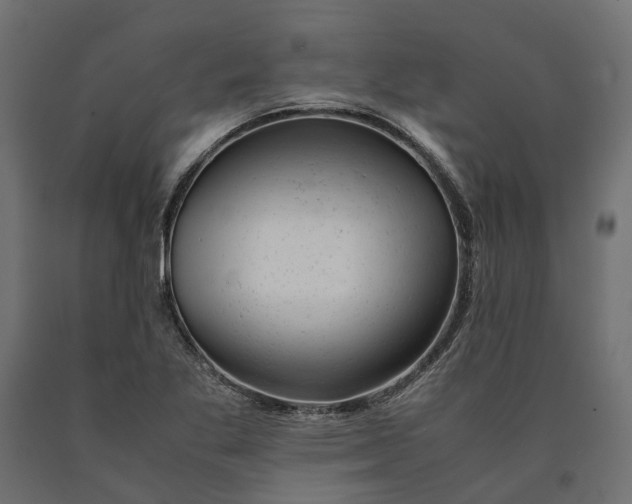 X0000090431269200708031121