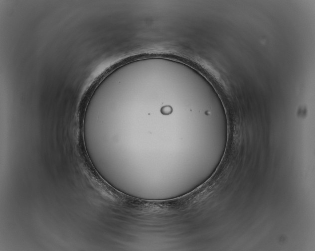 X0000090431270200708031121