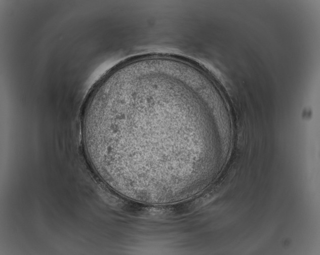 X0000090431271200708031121