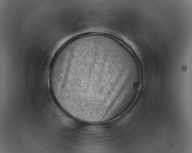 X0000090431272200708031121