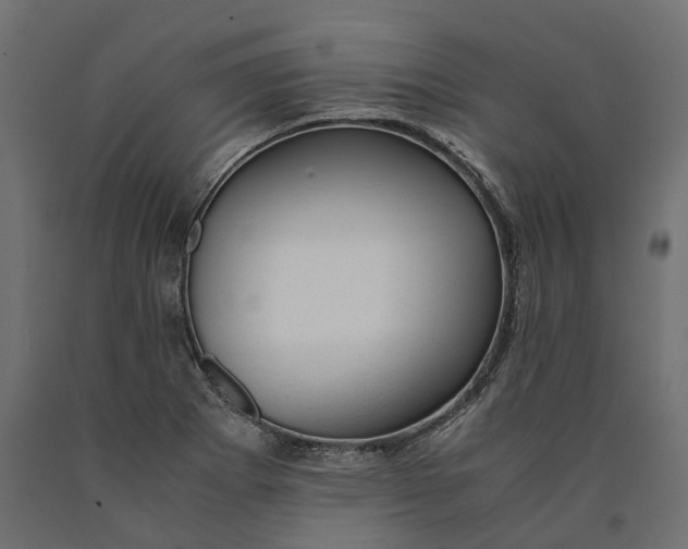 X0000090431273200708031121