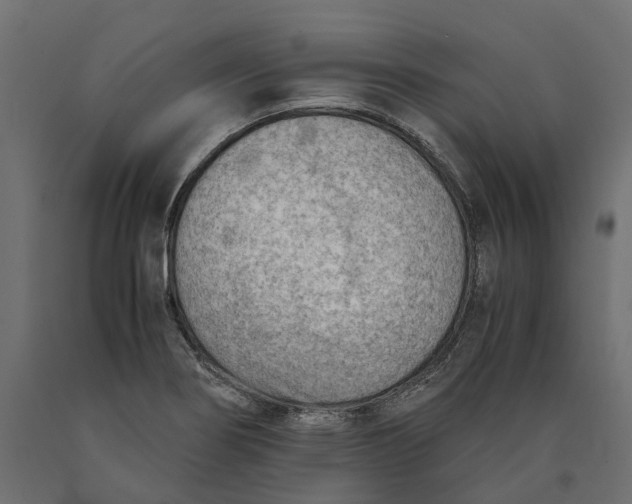 X0000090431274200708031121