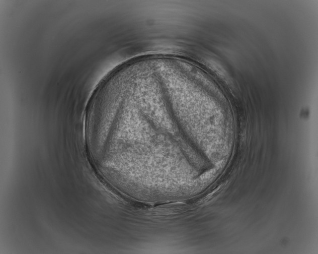 X0000090431275200708031121