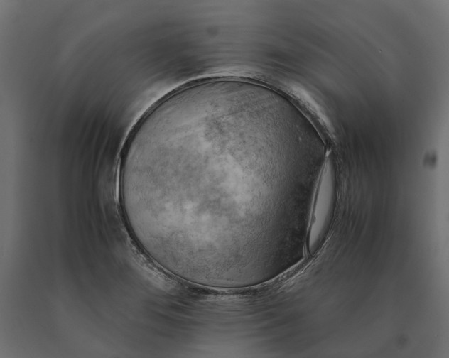 X0000090431276200708031121