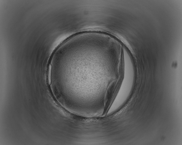 X0000090431277200708031121