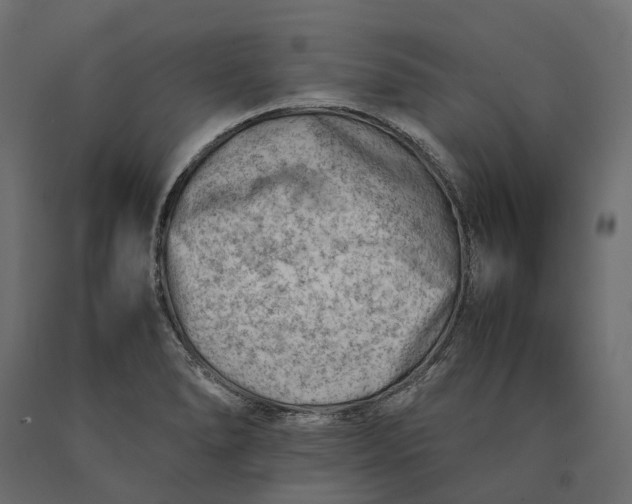 X0000090431278200708031121