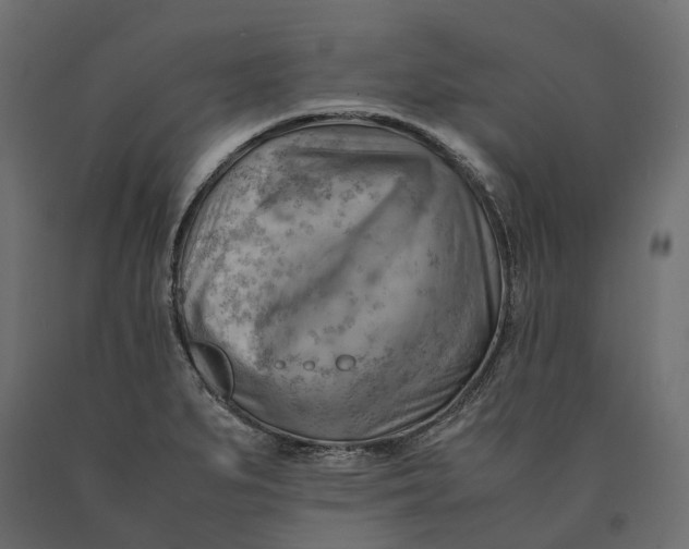 X0000090431279200708031121