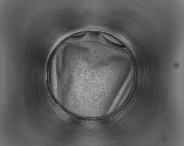 X0000090431280200708031121