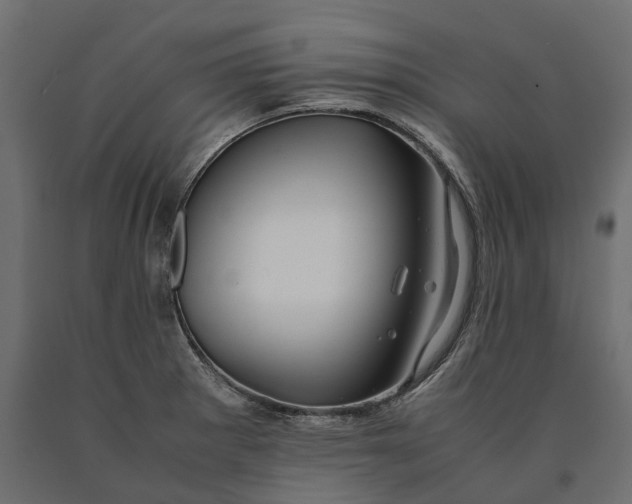 X0000090431281200708031121