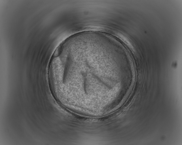 X0000090431283200708031120