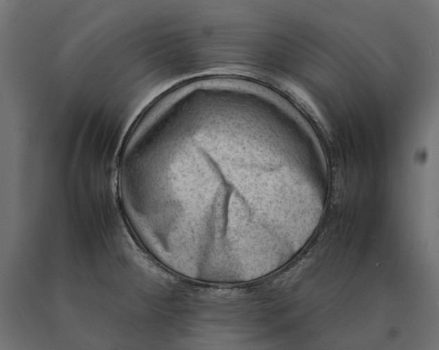 X0000090431284200708031120