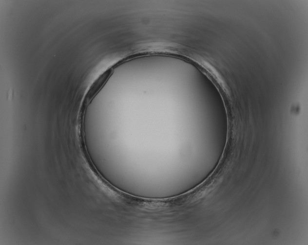 X0000090431285200708031120