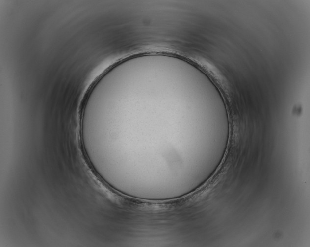 X0000090431286200708031120