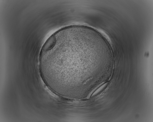 X0000090431287200708031120