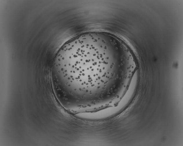 X0000090431289200708031120