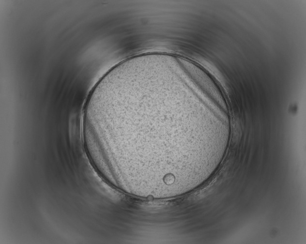 X0000090431290200708031120