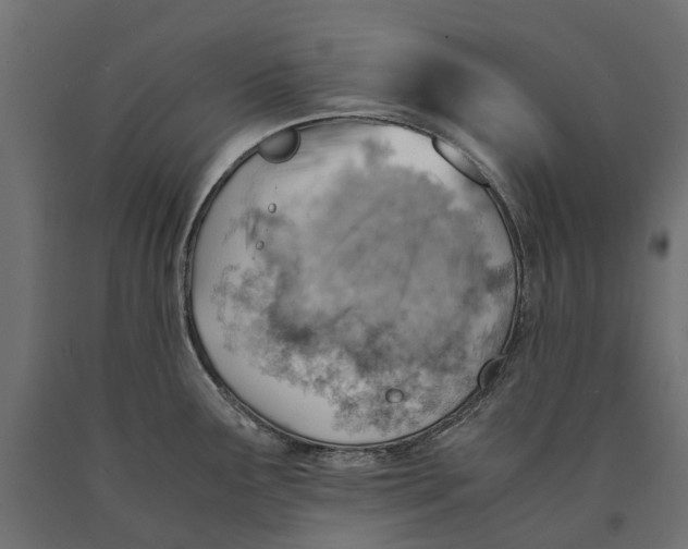 X0000090431291200708031120