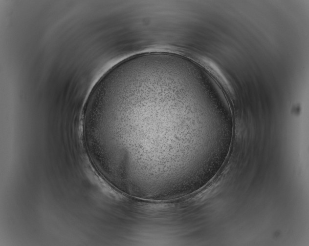 X0000090431292200708031120