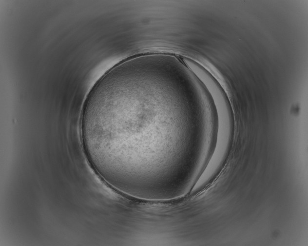 X0000090431293200708031120