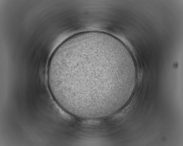 X0000090431294200708031120