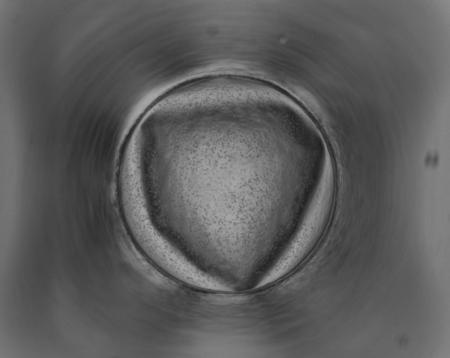 X0000090431296200708031120