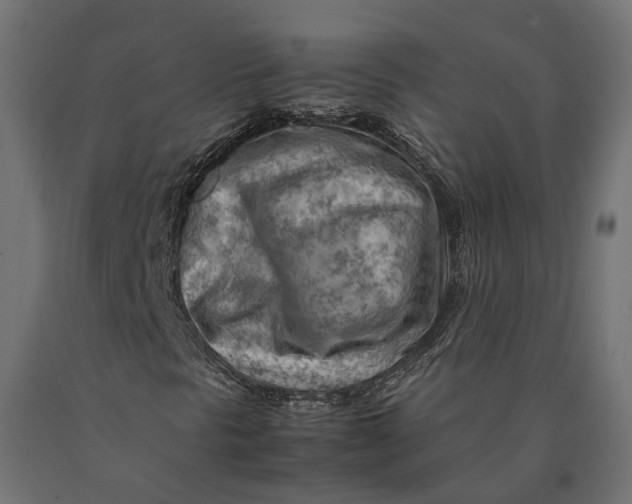 X0000090431297200708031120