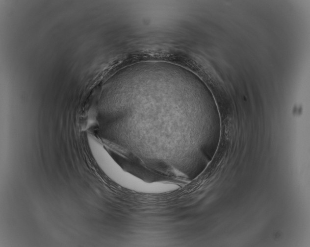 X0000090431298200708031120