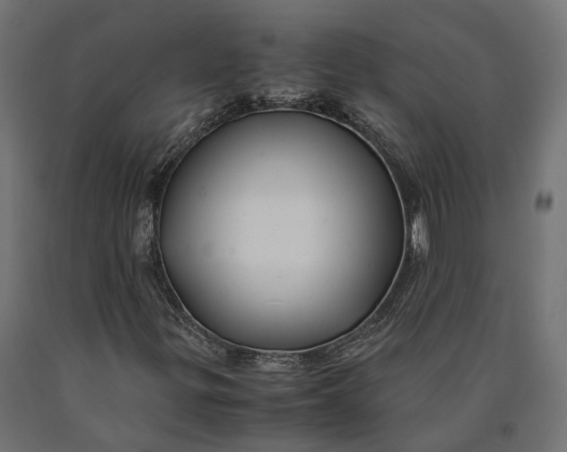 X0000090431299200708031120